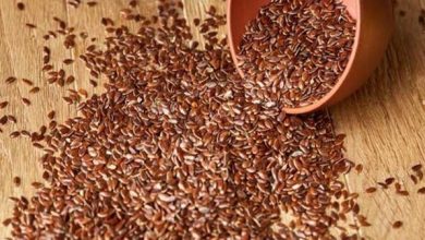 أضرار حب الرشاد للرجال