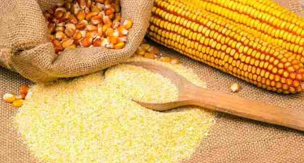 أضرار دقيق الذرة