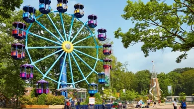 أفضل 10 مدن الملاهي في هولندا