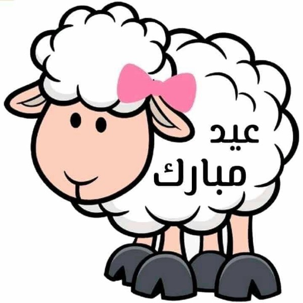 اجمل الصور عن عيد الاضحى المبارك 