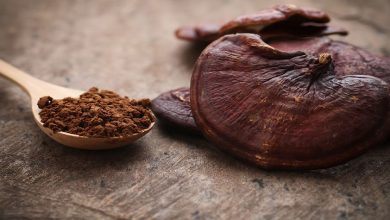 اضرار الفطر الريشي