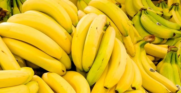 اضرار الموز على الريق