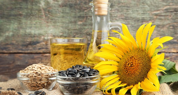 اضرار بذور دوار الشمس