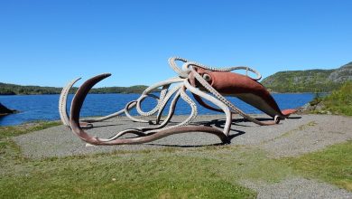 الحبار العملاق (وحش البحار)