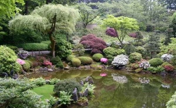 الحديقة النباتية المركزية