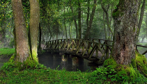 تكلفة السياحة في البوسنة والهرسك