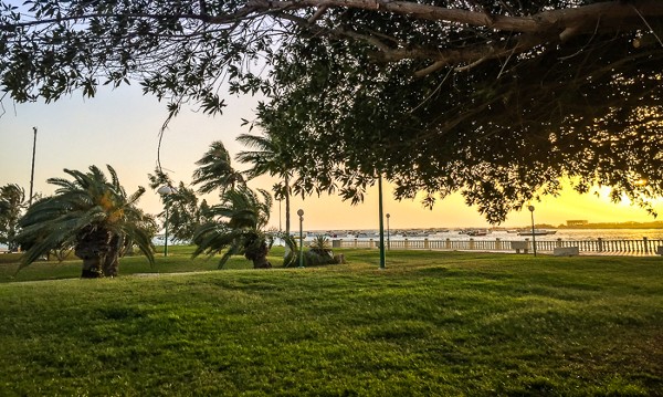 حديقة الصبح