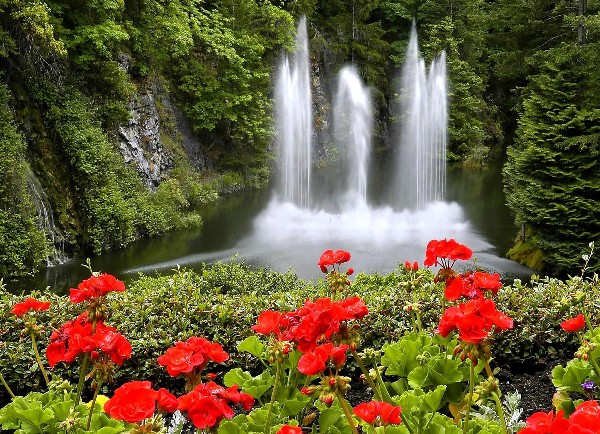 خلفيات طبيعية ساحرة للموبايل