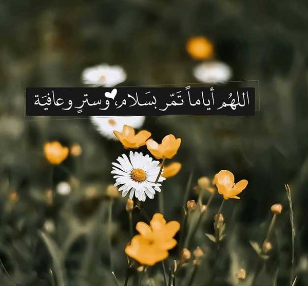 خلفيات موبايل دينية للنساء