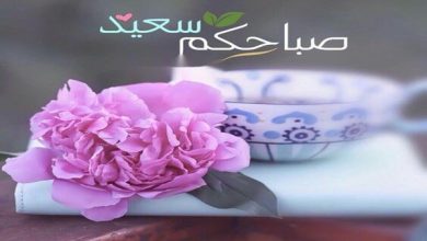 صباح الورد للغاليين