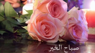 صباح الورد والسعادة