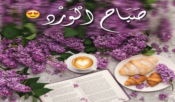 صباح الورد والياسمين صباح يسعد الغالي