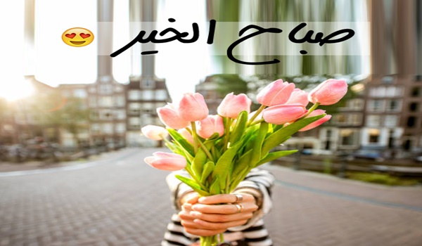 صباح الورد والياسمين صباح يسعد الغالي