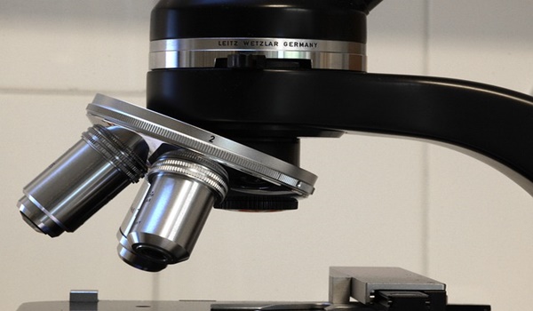 طبيب جراحة عامة في فرانكفورت