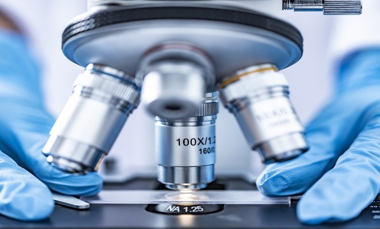 طبيبة مسالك بولية في فيسبادن