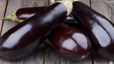 فوائد الباذنجان الني