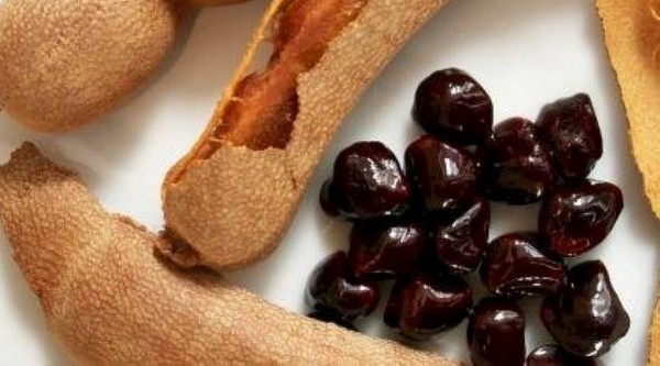  فوائد التمر الهندي