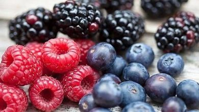 فوائد التوت البري