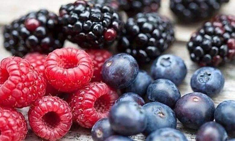 فوائد التوت البري