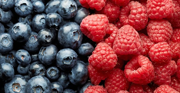  فوائد التوت البري