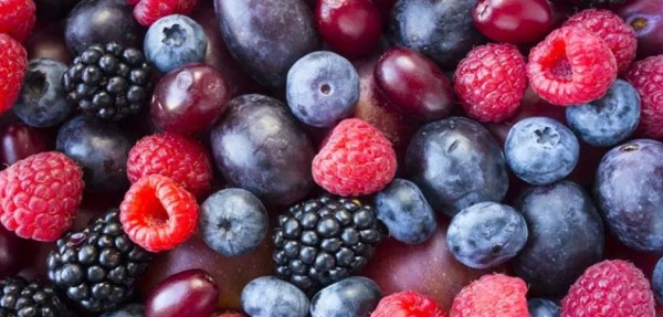  فوائد التوت البري