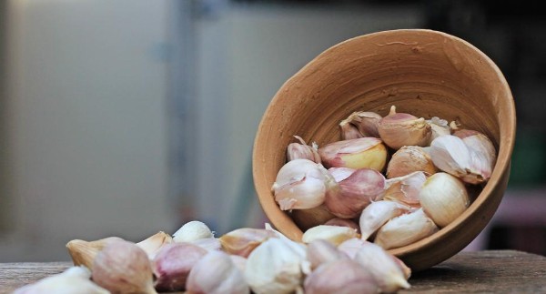فوائد الثوم للخصيتين