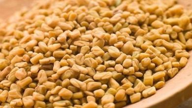 فوائد الحلبة للعظام