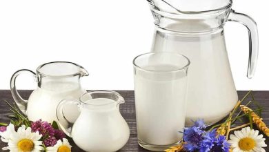 فوائد السوبيا