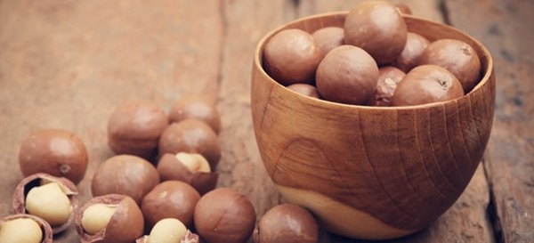 فوائد المكاديميا