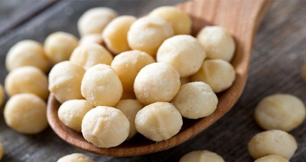 فوائد المكاديميا