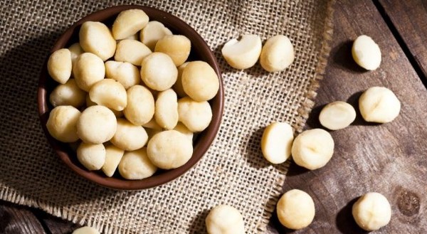 فوائد المكاديميا