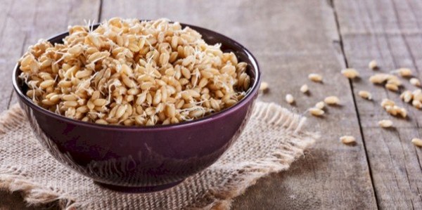 فوائد جنين القمح