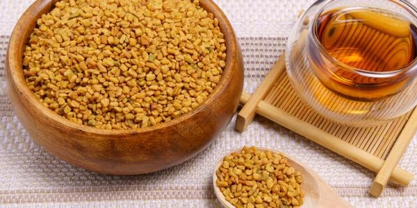 فوائد حبوب الحلبة