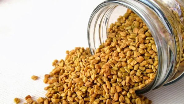 فوائد حبوب الحلبة