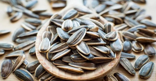 فوائد دوار الشمس