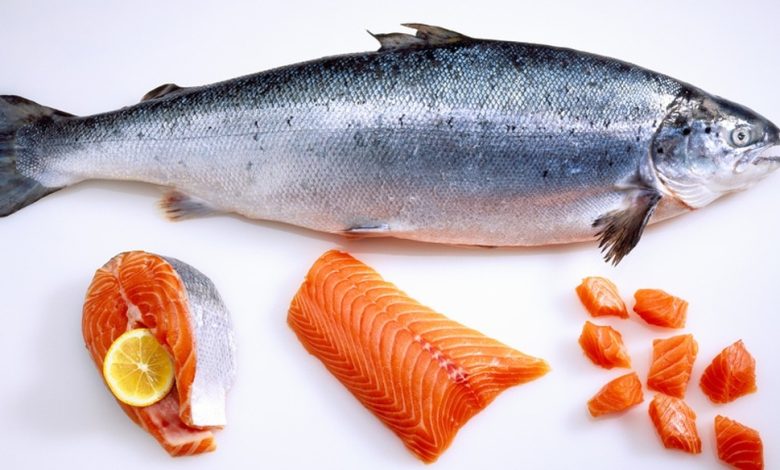 فوائد سمك السلمون