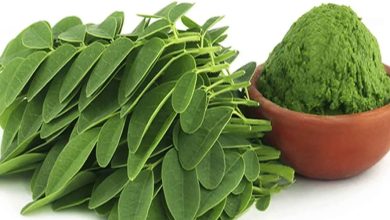 _فوائد شاي المورينجا