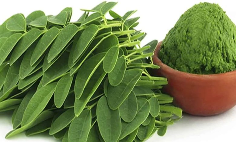 _فوائد شاي المورينجا