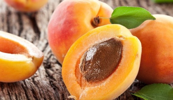 أضرار المشمش