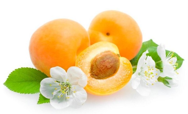 أضرار المشمش