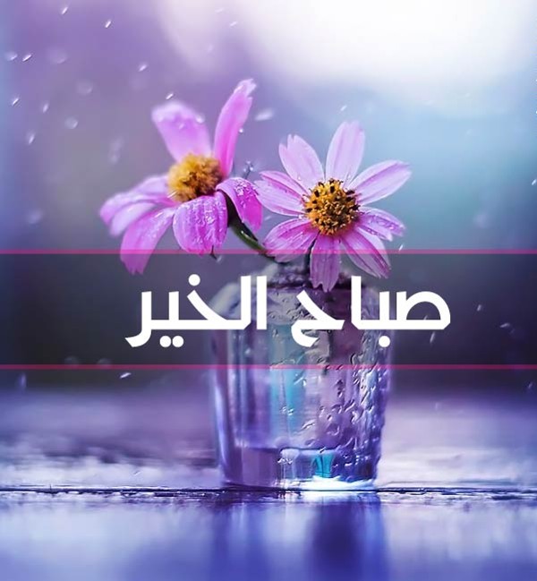 خلفيات صباح الخير