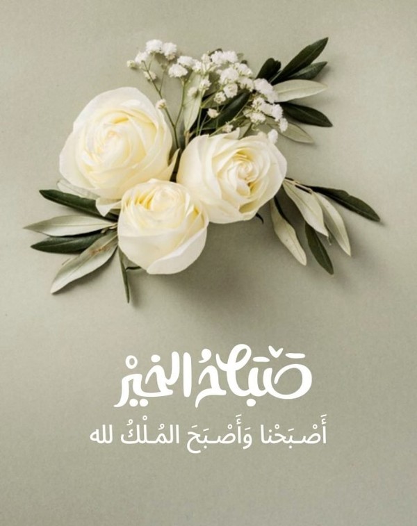 خلفيات صباح الخير