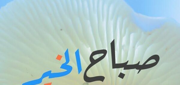 خلفيات صباح الخير