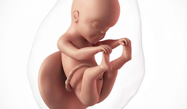 حكم اجهاض الجنين