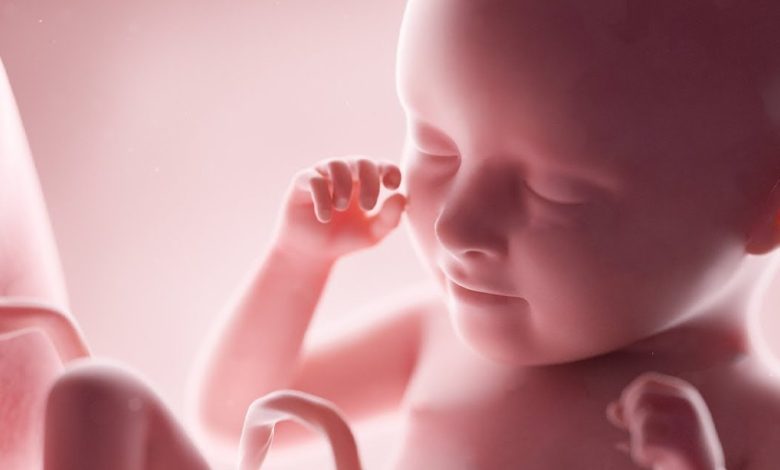 حكم اجهاض الجنين