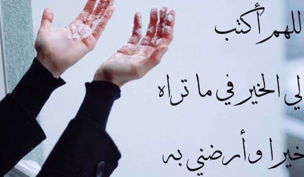 حكم تخصيص دعاء لكل يوم