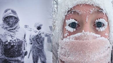 دول باردة طوال السنة