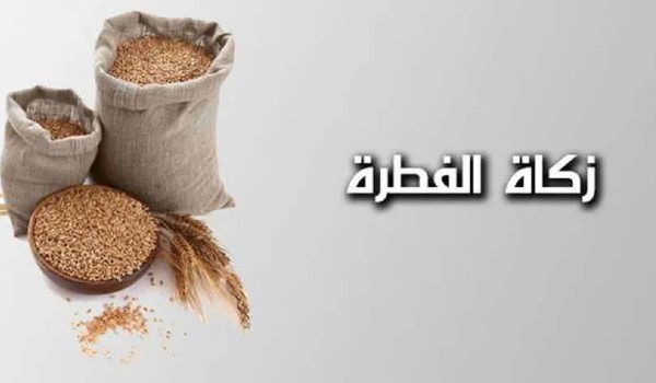 زكاة الفطر عن الجنين