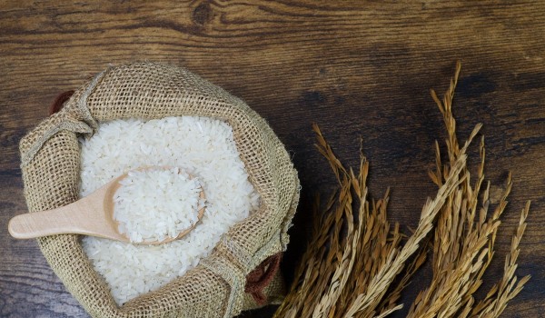 زكاة الفطر عن الجنين