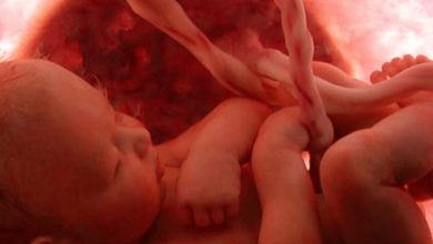 زكاة الفطر عن الجنين